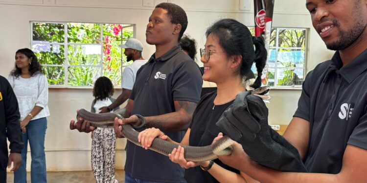 Eswatini Antivenom Foundation volunteers educate the public on local snakes and first aid measures at Ezulwini Farmers Market. Photo Eswatini Antivenom Foundation.