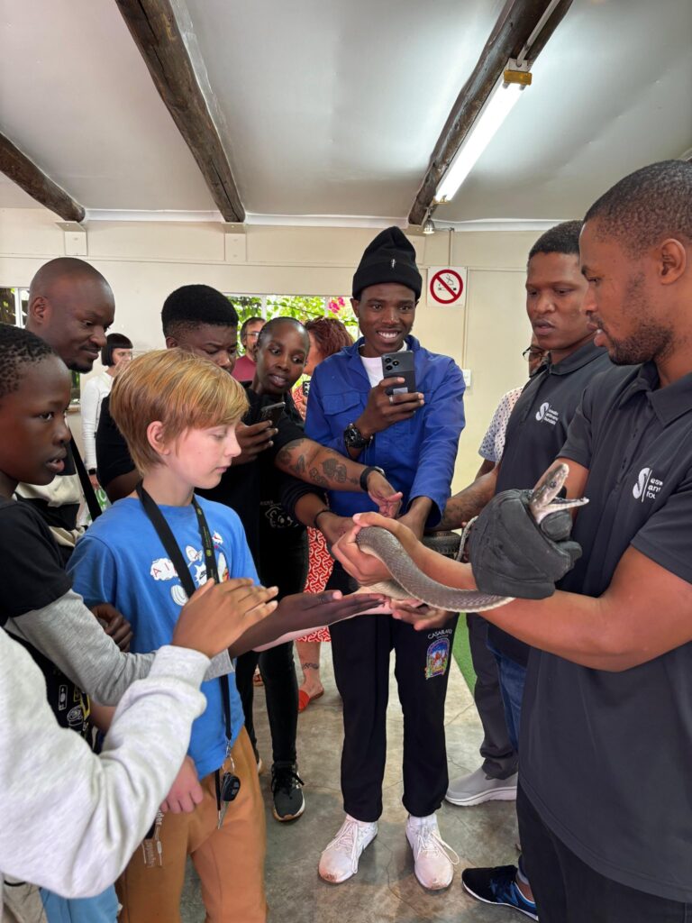 Eswatini Antivenom Foundation volunteers educate the public on local snakes and first aid measures at Ezulwini Farmers Market. Photo Eswatini Antivenom Foundation.