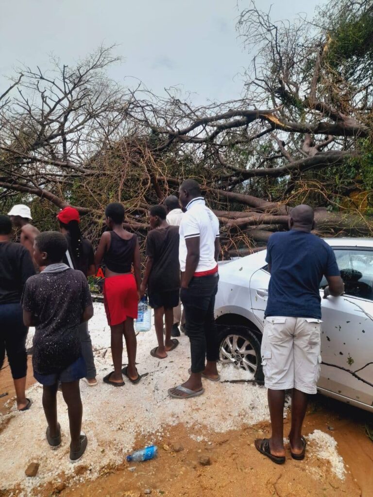 Residents survey the destruction caused by the hailstorm in Buhleni and Mkhuzweni, with damaged homes, destroyed crops, and overturned livestock visible across the community.