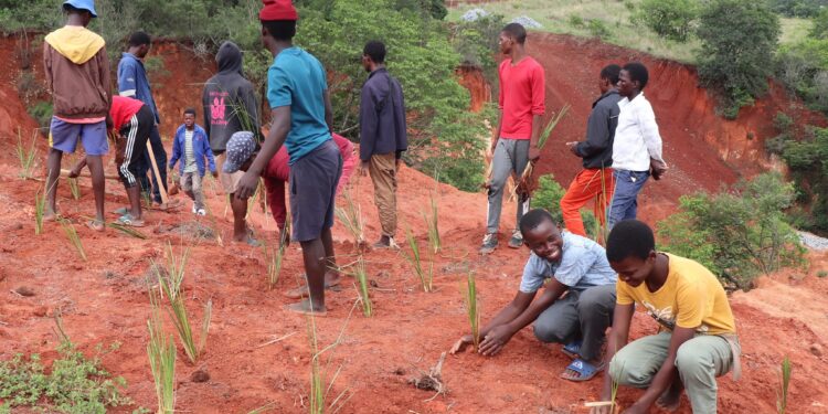 Photo by World Vision Eswatini: Children from Ekukhanyeni plant vetiver grass to restore eroded land and protect their community’s homes and livestock.