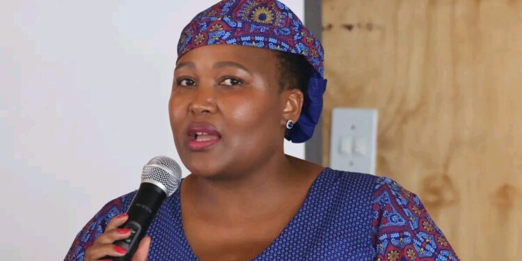 Honourable Nthati Moorosi addressing delegates at the Pre-WSIS+20 Information Meeting in New York.