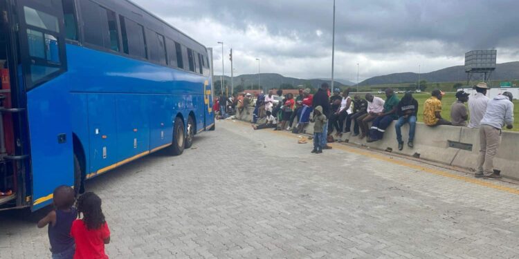 Picture: Limpopo Department of Transport and Community Safety