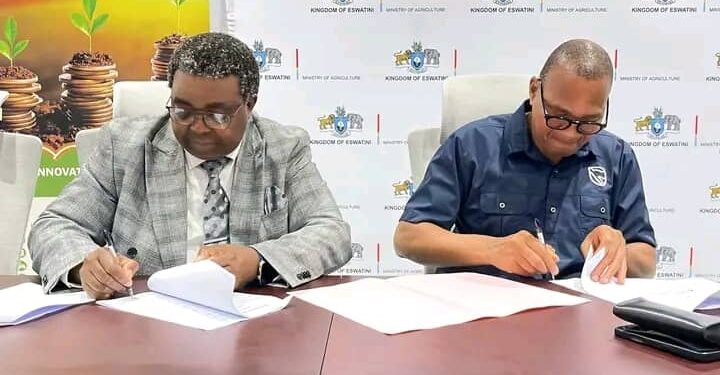 The Principal Secretary for the Ministry of Agriculture Sydney Simelane with Standard Bank Eswatini CE Mvuselelo Fakudze signing the MoU. Photo by Samkelisiwe Mavimbela