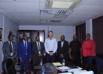 Auditor-General Timothy Matsebula, Minister for Finance Neal Rijkenberg, and OAG staff with IDI and AFROSAI-E experts during the strategic plan drafting session in Mbabane.