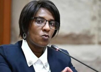 Advocate Dinkie Portia Dube as Deputy Public Protector. Picture: X/@WhyUfikelate