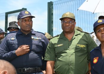 Border Management Authority Commissioner Michael Masiapato. Picture: X/TheBMA_SA