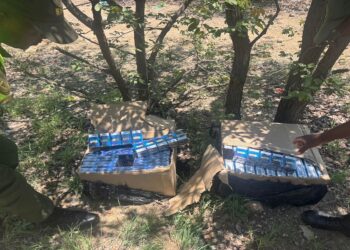 BMA officers inspect cigarettes seized during a smuggling operation at Beitbridge Port of Entry.