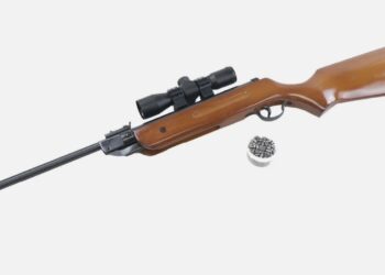 A sample of of pellet gun. Photo by Ebay