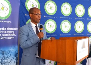 ESERA Chief Executive Officer Sikhumbuzo Tsabedze. Photo by Khulekile Mhlanga