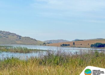 Hawane Dam, one of Eswatini’s Ramsar-listed wetlands, plays a vital role in supporting biodiversity and sustaining the Mbuluzi River system