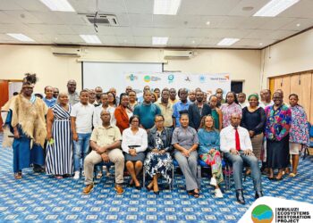 Stakeholders and experts gather at the Mbuluzi Ecosystems Restoration Project validation workshop to review key tools for protecting the Mbuluzi River Basin. Photo by Mbuluzi Ecosystems Restoration Project.