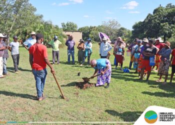 Community members take part in hands-on tree and coffee planting at Shewula nursery. Photo by Mbuluzi Ecosystems Restoration Project.