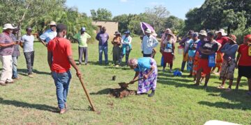 Community members take part in hands-on tree and coffee planting at Shewula nursery. Photo by Mbuluzi Ecosystems Restoration Project.