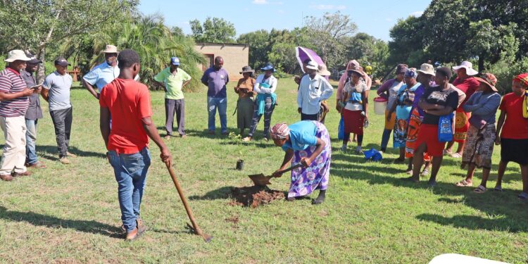 Community members take part in hands-on tree and coffee planting at Shewula nursery. Photo by Mbuluzi Ecosystems Restoration Project.