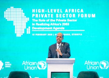 AU Commission Chairperson H.E. Mahmoud Ali Youssouf addressing delegates at the High-Level Dialogue on the role of the private sector in realizing Africa’s Agenda 2063 in Addis Ababa on 13 February 2026.