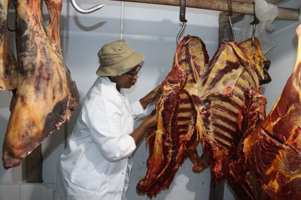 An official inspects meat at a local outlet during the Piggs Peak Town Council compliance exercise.