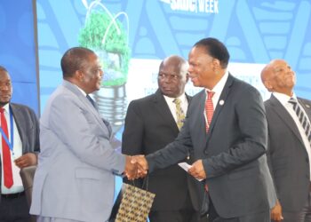 Zimbabwe’s Vice President, Constantino Chiwenga, shakes hands with Prince Lonkhokhela during the official handover of the SADC Sustainable Energy Week hosting baton to Eswatini in Victoria Falls, Zimbabwe.