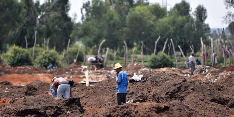 Gold rush grips Springs township