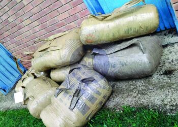 Dagga weighing about 169 kilograms recovered during an intelligence led operation at the Mantambe borderline, which led to the arrest of a 40 year old Mehlwabovu man.