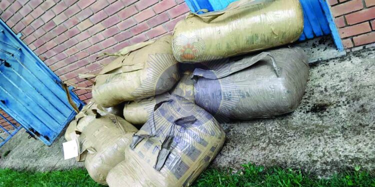 Dagga weighing about 169 kilograms recovered during an intelligence led operation at the Mantambe borderline, which led to the arrest of a 40 year old Mehlwabovu man.
