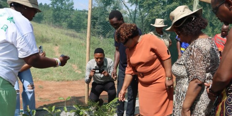 The Minister inspects one of the young plants during the handover of the “Planting for the Future” project in Hhukwini