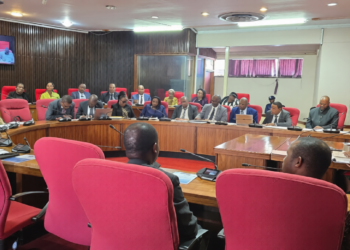 Members of Parliament attend a Portfolio Committee session in Parliament where the Ministry of Economic Planning and Development presented its 2025/26 Annual Performance Report before the committee chaired by His Royal Highness Prince Lindani.