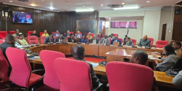 Members of Parliament attend a Portfolio Committee session in Parliament where the Ministry of Economic Planning and Development presented its 2025/26 Annual Performance Report before the committee chaired by His Royal Highness Prince Lindani.