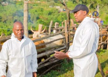 Eswatini targets EU markets comeback