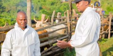 Eswatini targets EU markets comeback