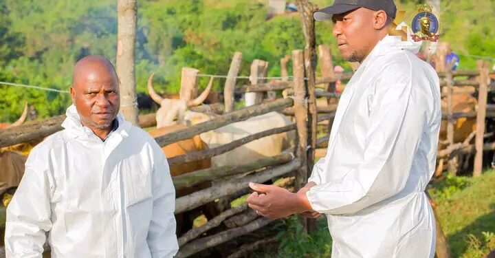 Eswatini targets EU markets comeback