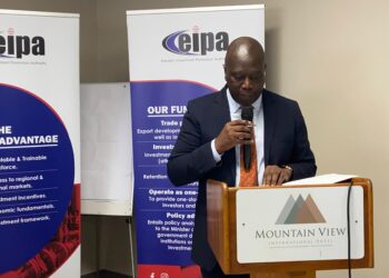 TIIP a gateway to economic diversification and new investment frontiers- Minister