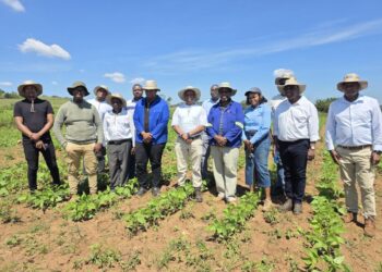 EWADE CEO and Management With Sicunusa Cluster farmers.