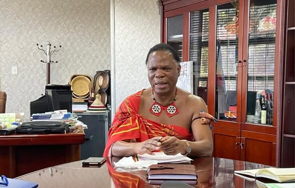 Dont panic , we have fuel supply stability – MINISTER