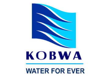 JSE censures Eswatini-linked KOBWA over Executive Director appointment