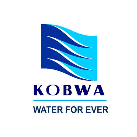 JSE censures Eswatini-linked KOBWA over Executive Director appointment