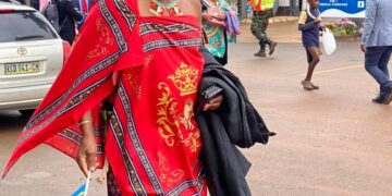 ESWATINI MED RECUSAL CASE: Court rules ancestry not enough for recusal
