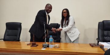 Why are investors abandoning Mbabane? Council told to act