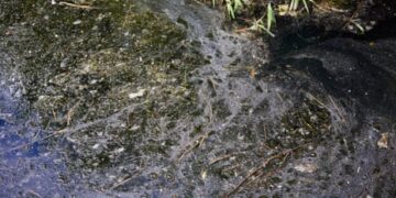 Toddler drowns in sewage, dies