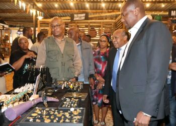 PM challenges Bushfire to double economic impact