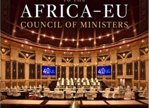 Africa-EU Assembly tables 87 recommendations on security, minerals, youth and trade