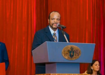 Parliamentarians play key role in democratic governance – King