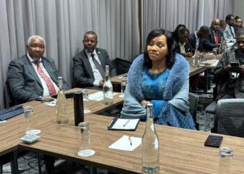 Commerce minister calls for vigilance on mergers