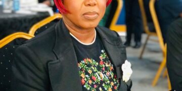 ICT institutions should not rely on government funding- ICT Minister