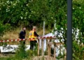 France: 11 killed in civilian plane crash