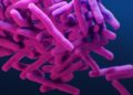 New genomic test uncovers hidden drug-resistant TB cases
