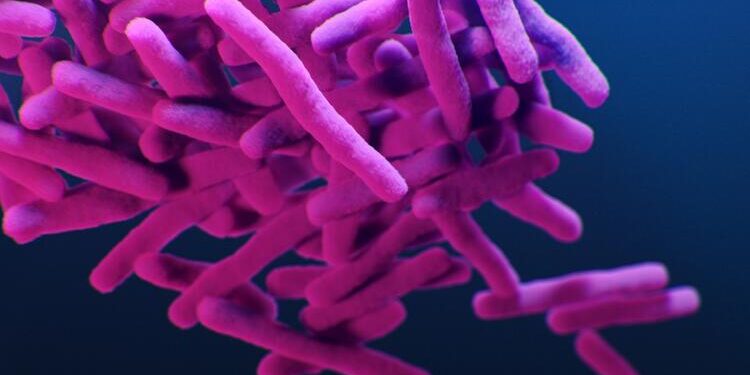 New genomic test uncovers hidden drug-resistant TB cases