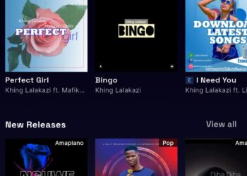 Young developer builds digital home for Eswatini music