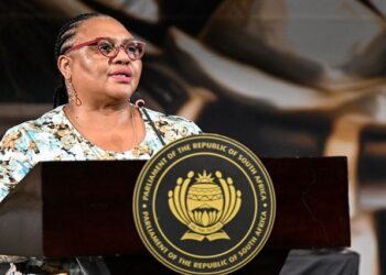 DA concerned by Didiza’s refusal not opposing Ramaphosa’s interdict