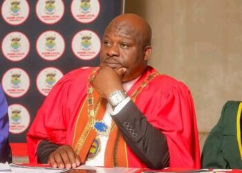 Jozini Mayor alleges Emaswati steal medicines from SA clinics for resale