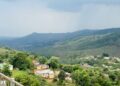 Eswatini moves to strengthen forest protection through new Forestry Bill